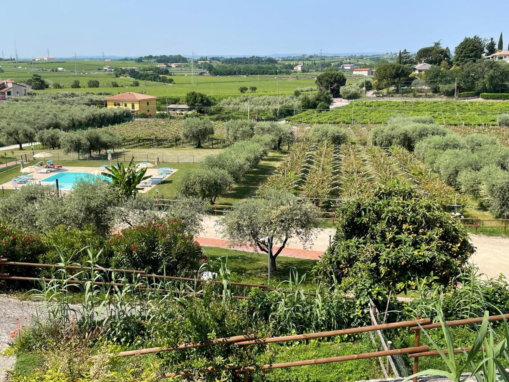 Al Colle Vila Cavaion Veronese Exterior foto